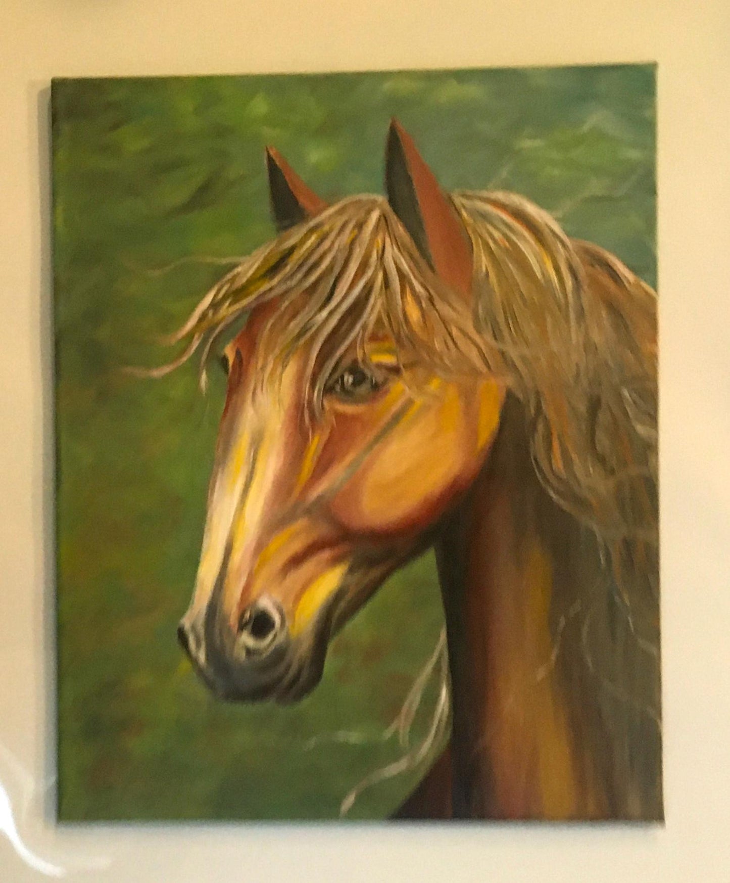 Original 12x16 inches oil painting horse canvas art