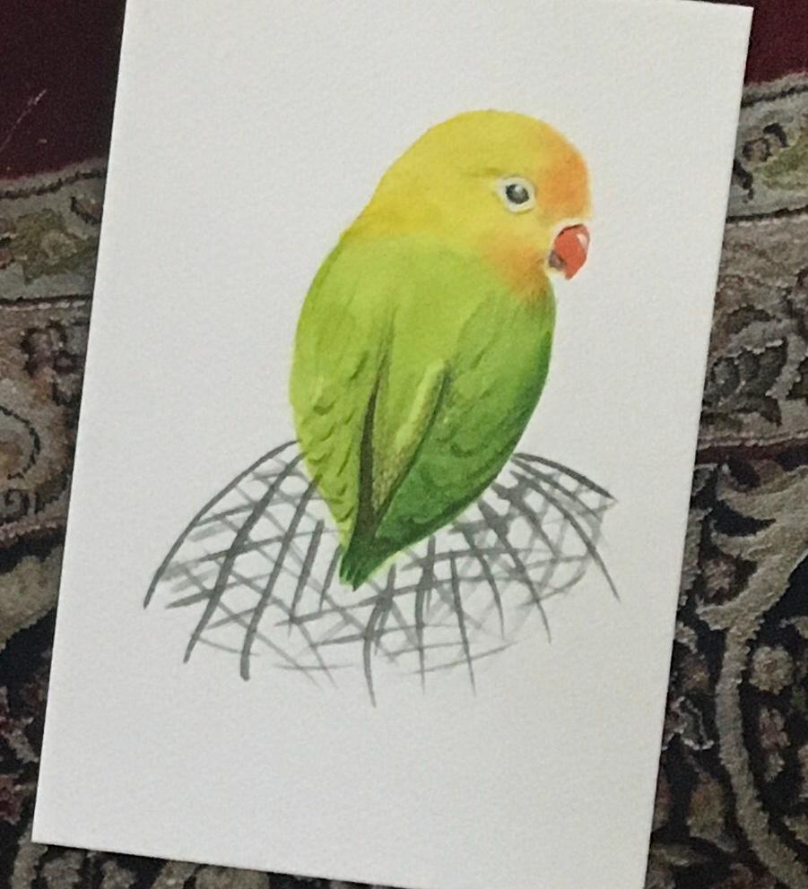 Bird parrot 6x9 inches Original painting watercolor art (not print)