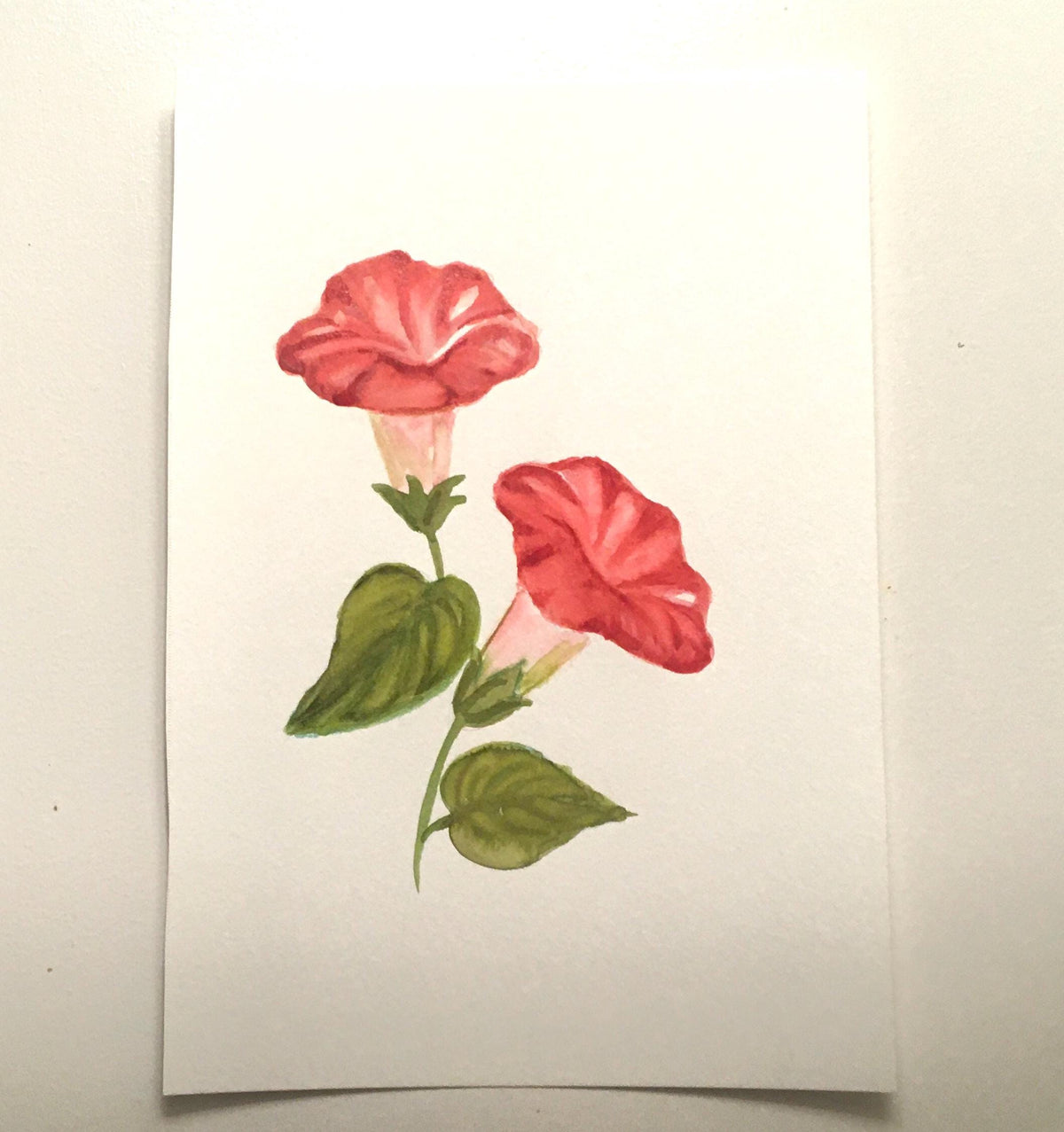 Flowers 7x10 inches Original painting watercolor art (not print)