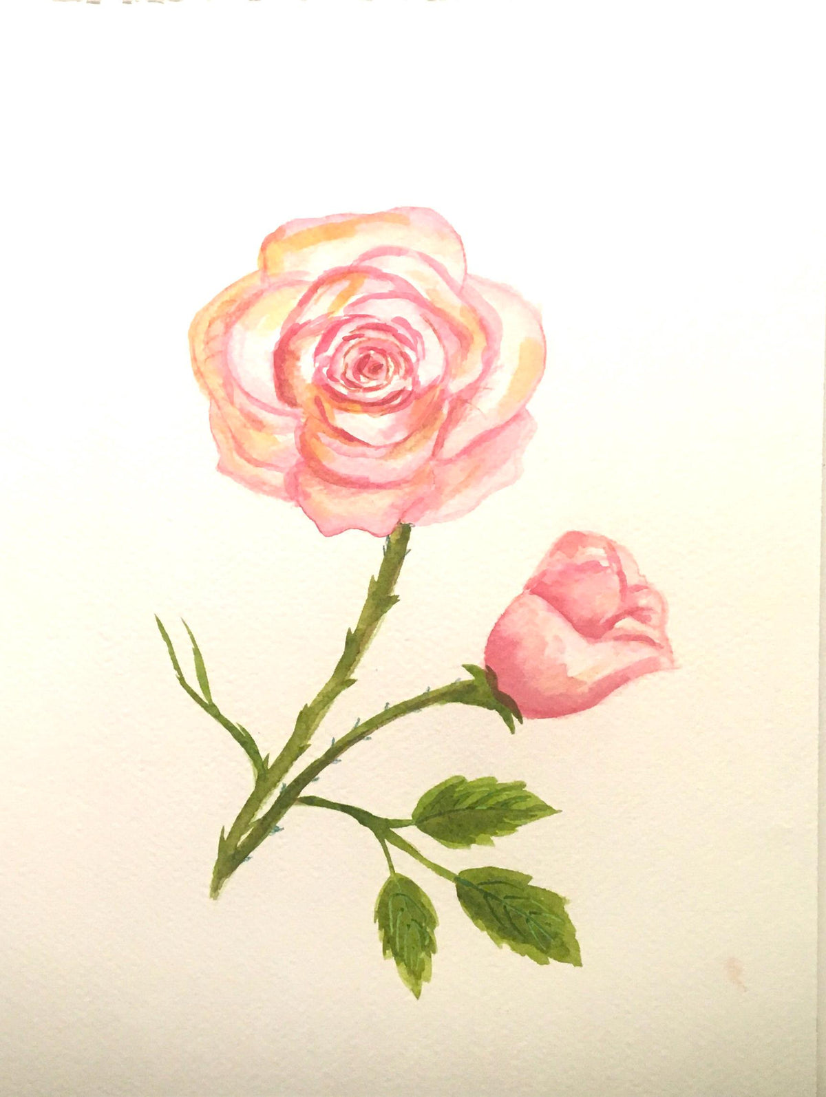 Free shipping Original painting watercolor art flowers roses (not print)