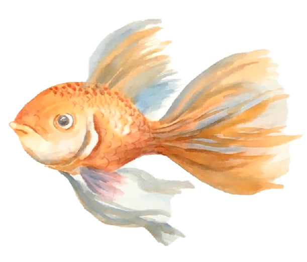 Painting at lease one oil painting a week and one watercolor every two days