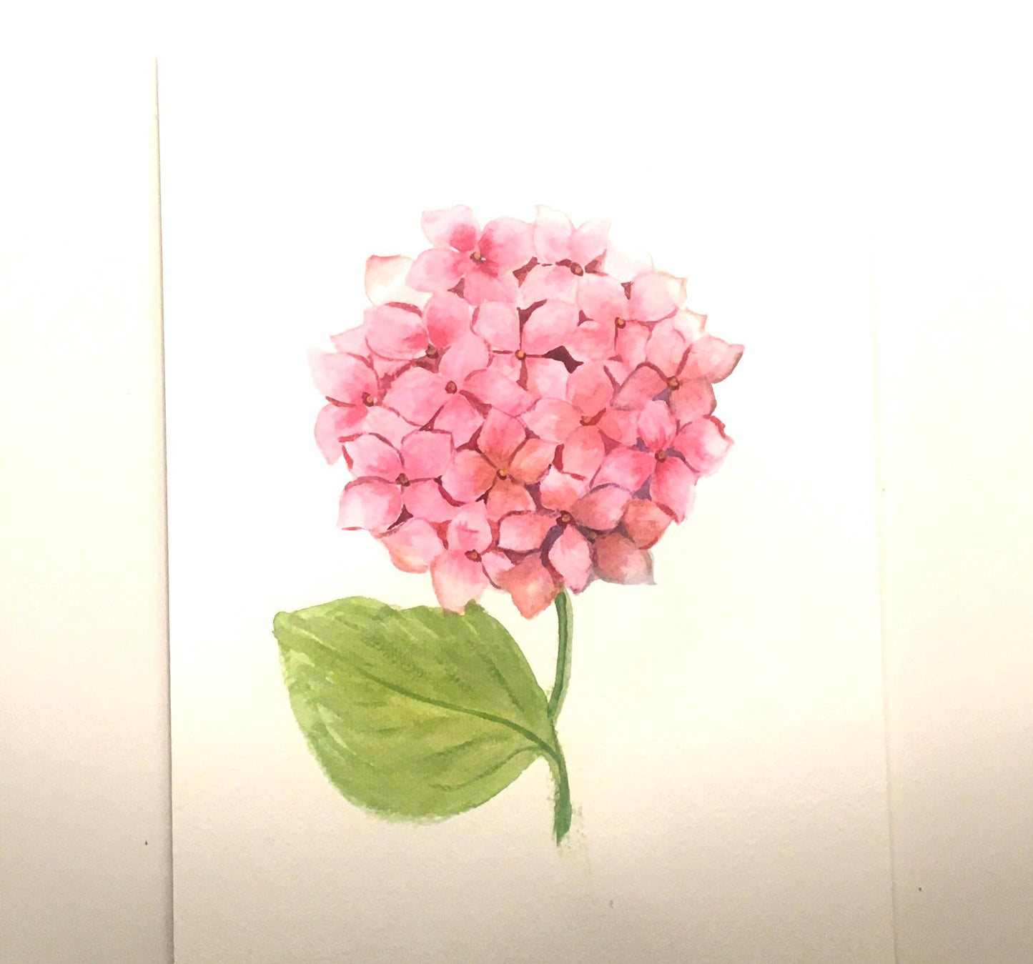 Free shipping Original painting watercolor art pink hydrangea flowers (not print)