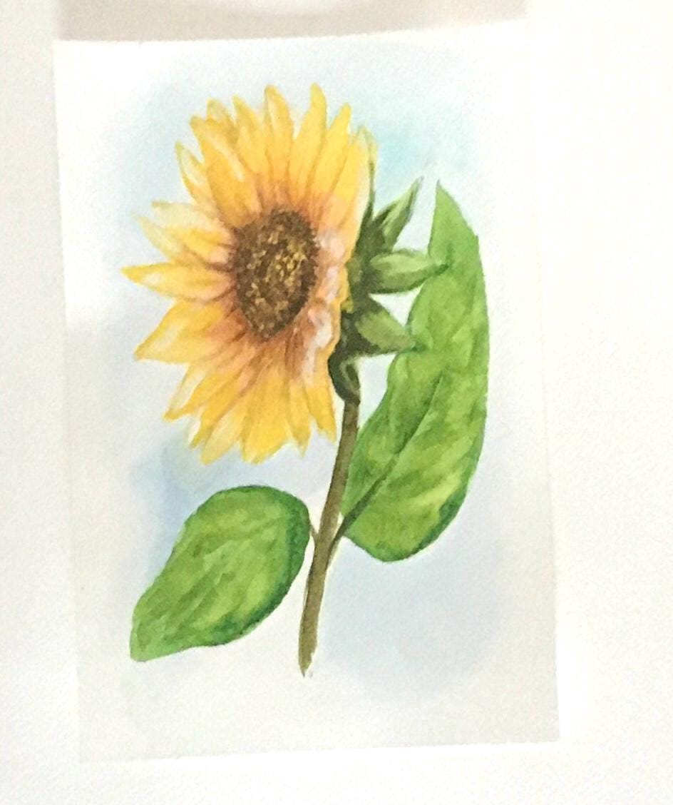 Sunflower Original painting watercolor art (not print)