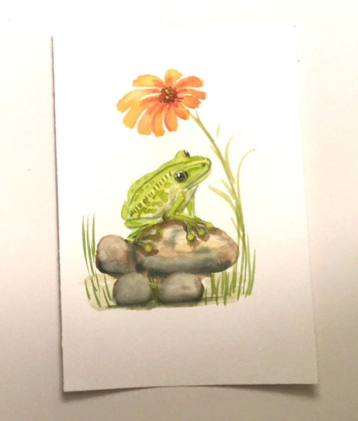 Frog on rocks under flower 7x10 inches Original painting watercolor art (not print)