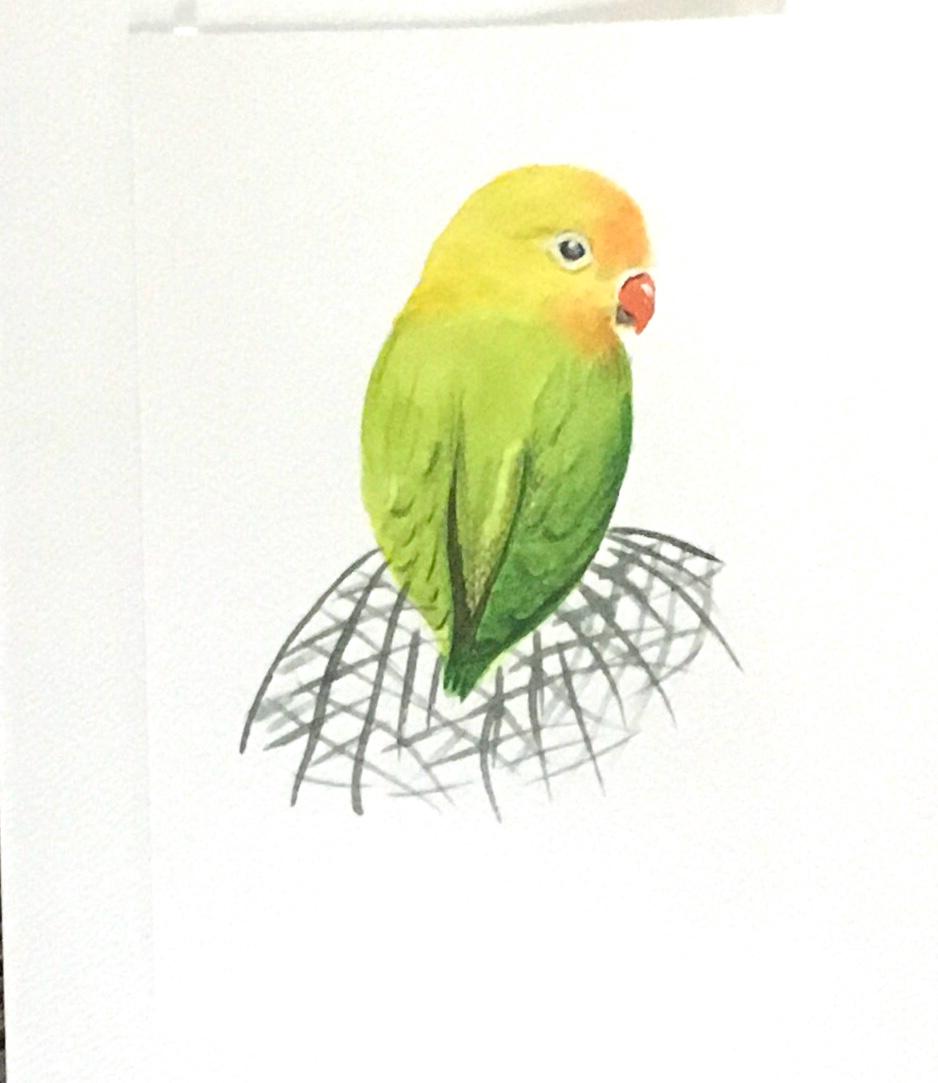 Bird parrot 6x9 inches Original painting watercolor art (not print)