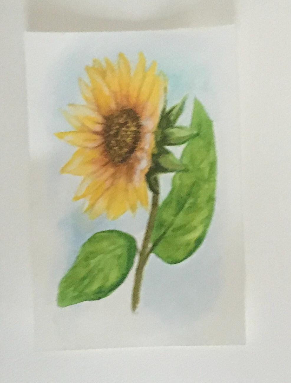 Sunflower Original painting watercolor art (not print)