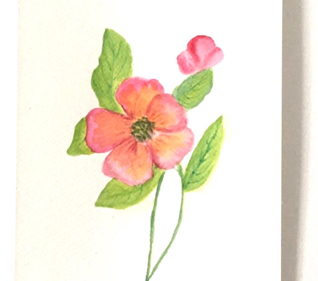 9x6 inches Original painting watercolor art flowers (not print)