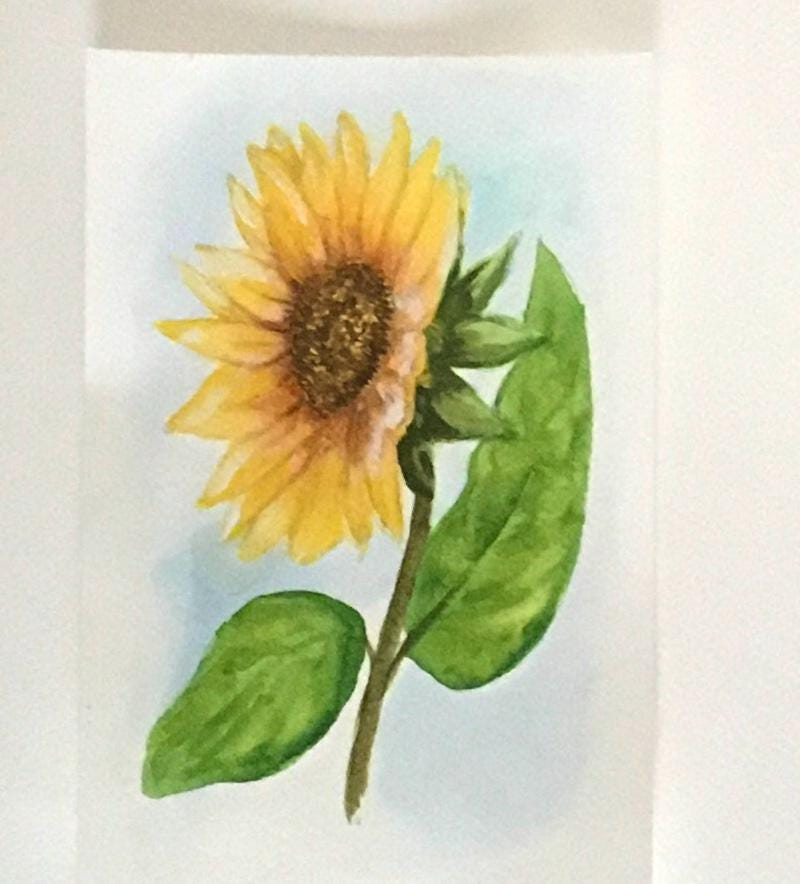 Sunflower Original painting watercolor art (not print)