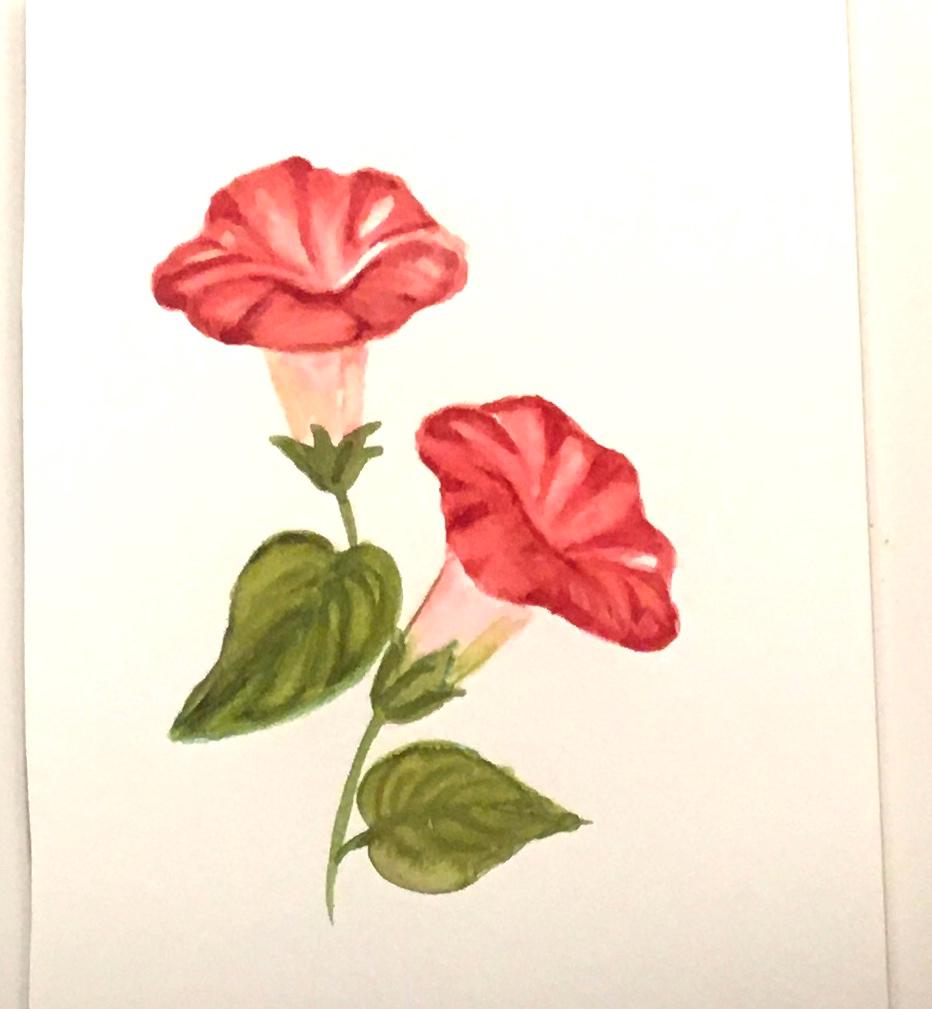 Flowers 7x10 inches Original painting watercolor art (not print)