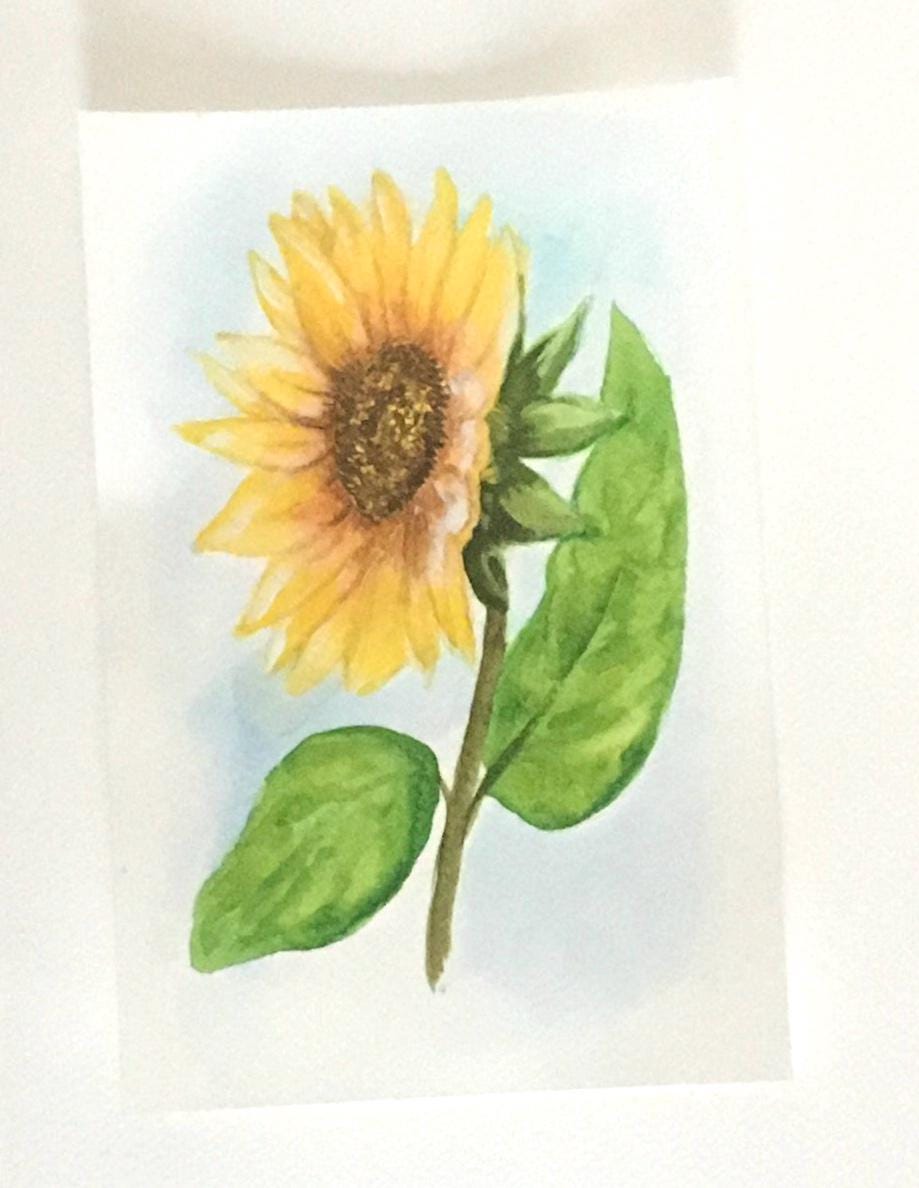 Sunflower Original painting watercolor art (not print)