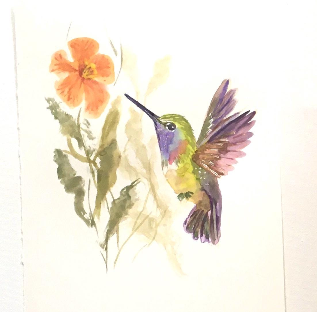 Flowers hummingbird 7x10 inches Original painting watercolor art (not print)