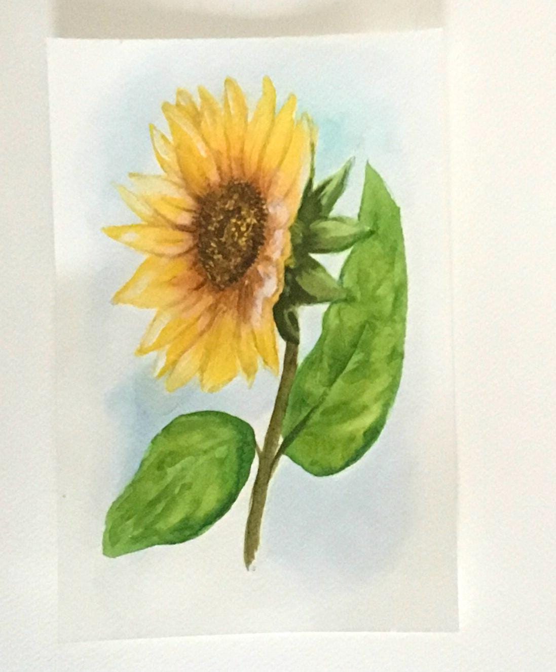 Sunflower Original painting watercolor art (not print)