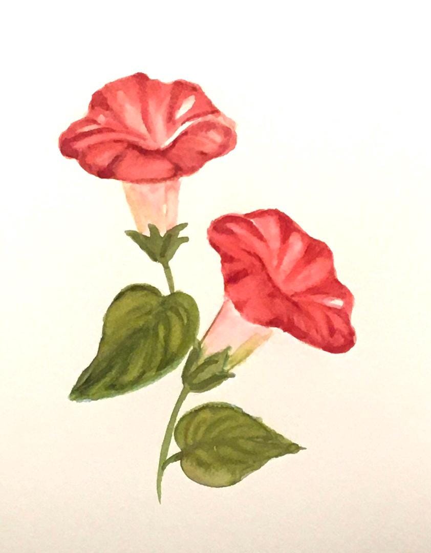 Flowers 7x10 inches Original painting watercolor art (not print)