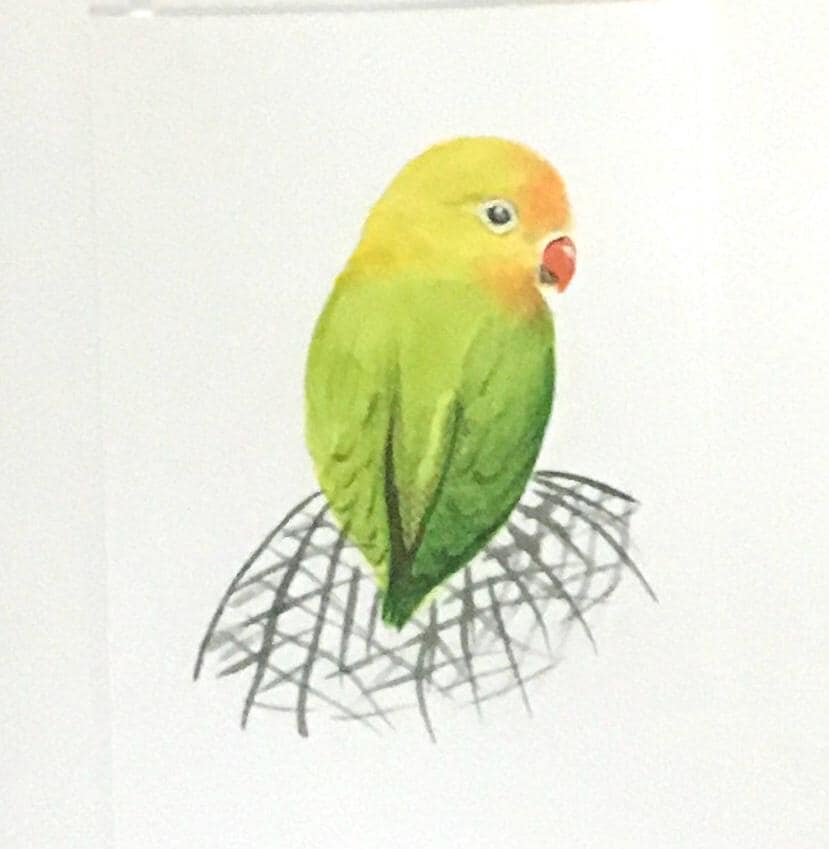 Bird parrot 6x9 inches Original painting watercolor art (not print)