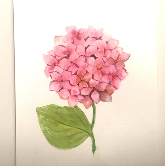 Free shipping Original painting watercolor art pink hydrangea flowers (not print)