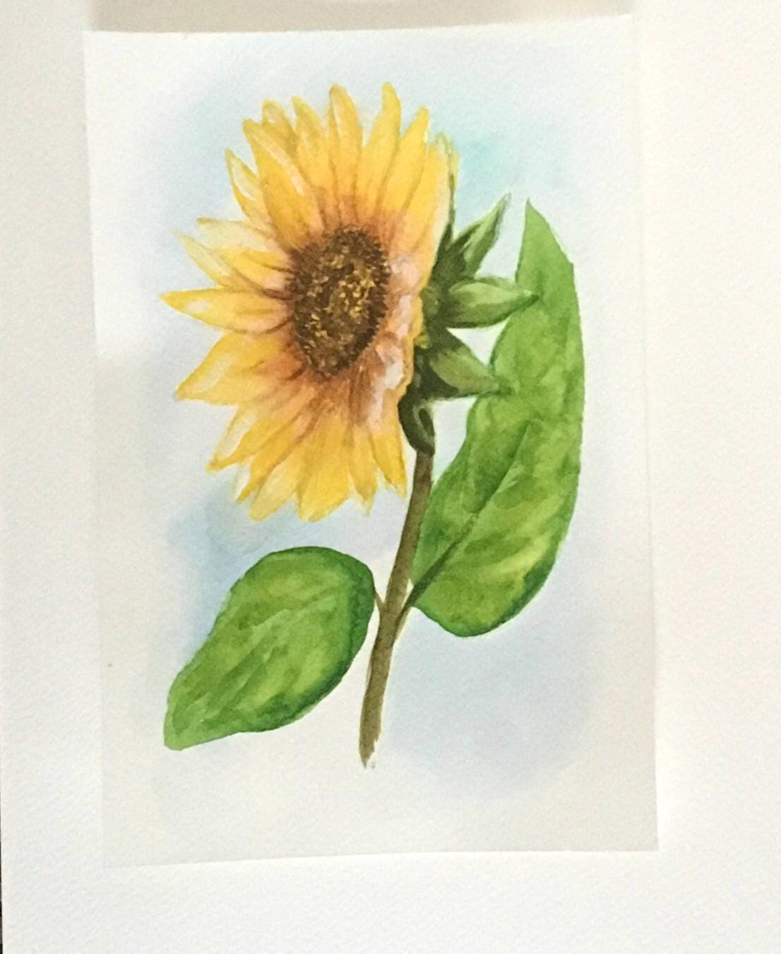 Sunflower Original painting watercolor art (not print)