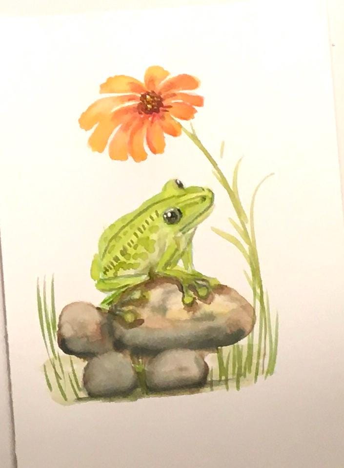 Frog on rocks under flower 7x10 inches Original painting watercolor art (not print)
