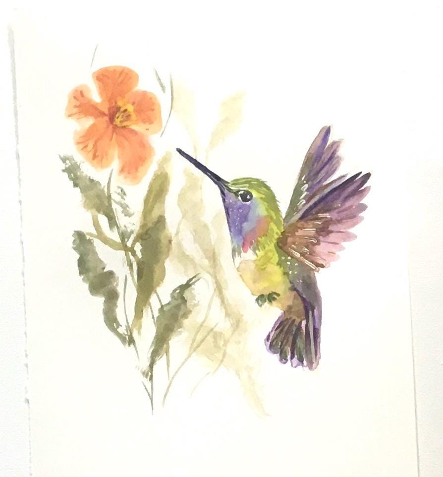 Flowers hummingbird 7x10 inches Original painting watercolor art (not print)