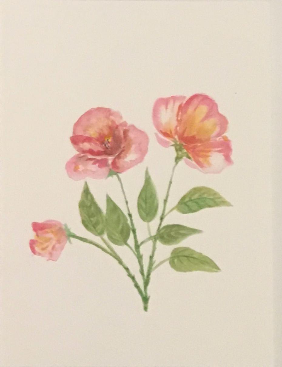 Free shipping Original painting watercolor art flowers (not print)