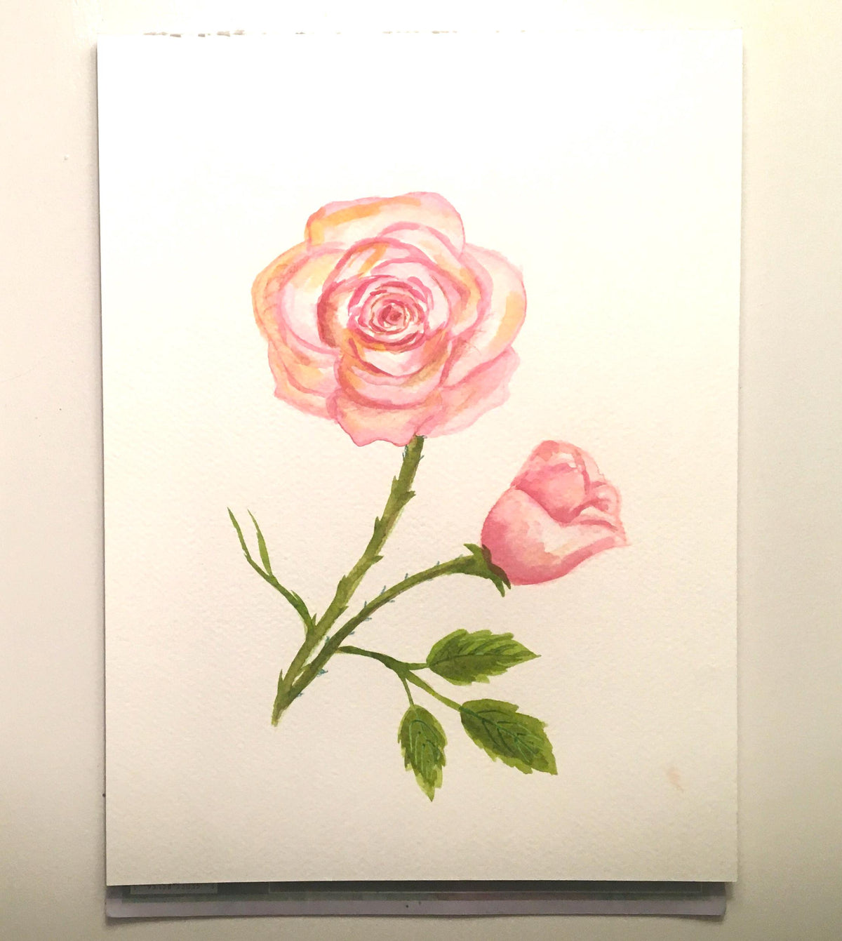 Free shipping Original painting watercolor art flowers roses (not print)