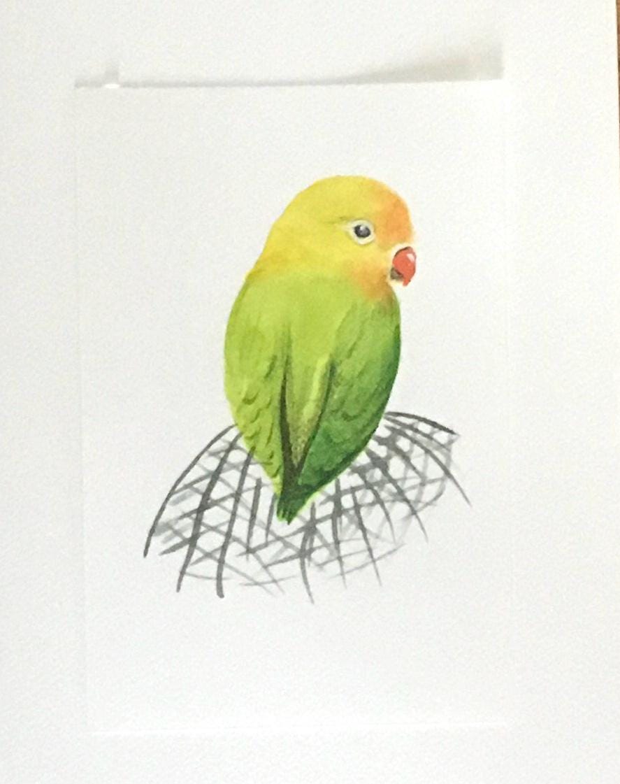 Bird parrot 6x9 inches Original painting watercolor art (not print)