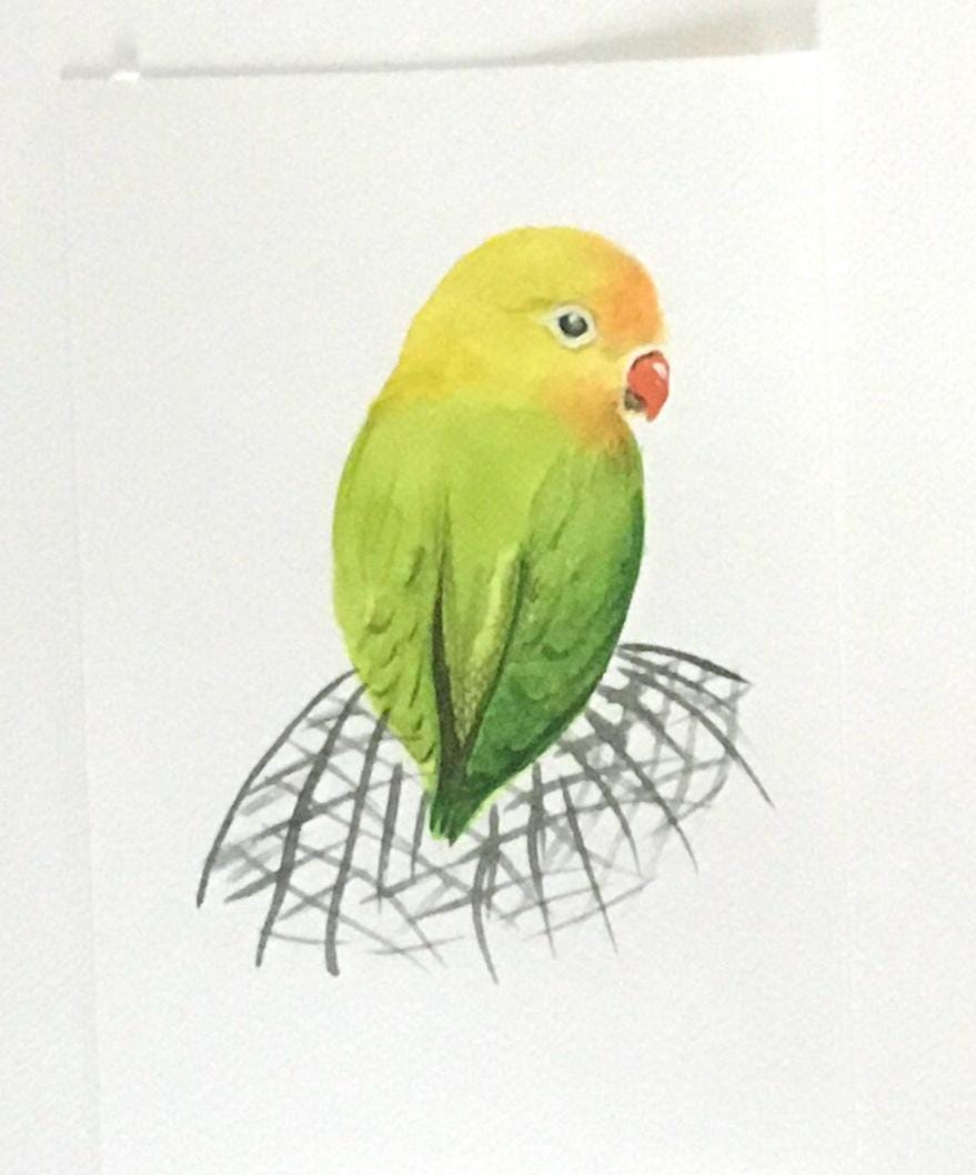 Bird parrot 6x9 inches Original painting watercolor art (not print)
