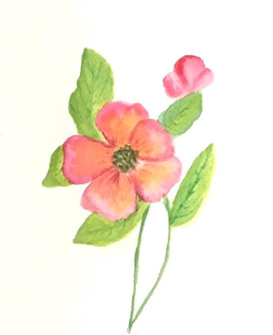 9x6 inches Original painting watercolor art flowers (not print)