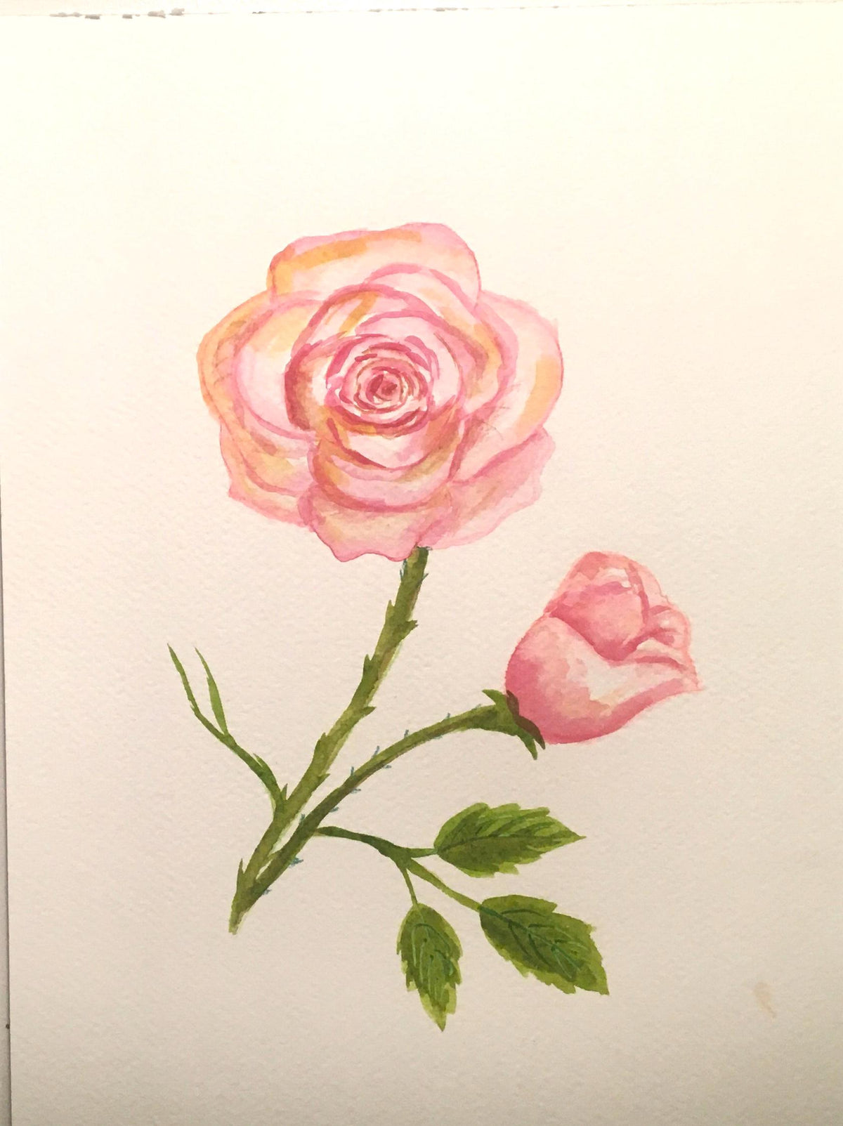 Free shipping Original painting watercolor art flowers roses (not print)