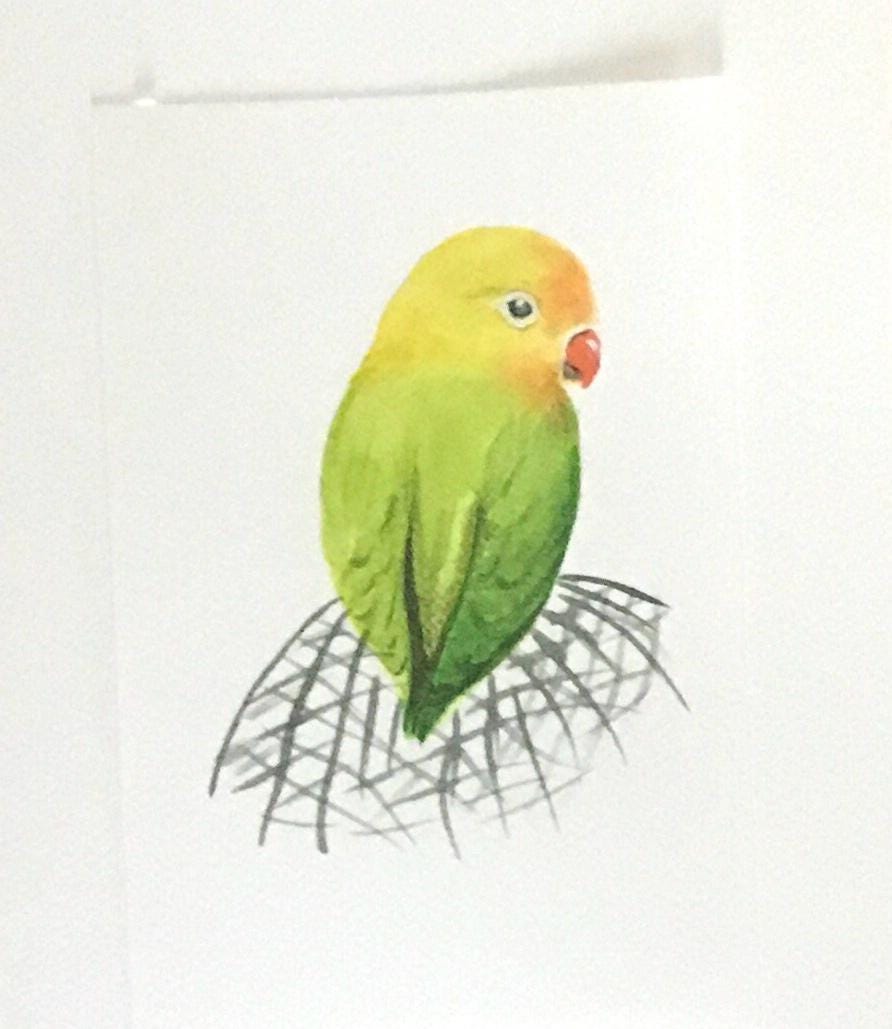 Bird parrot 6x9 inches Original painting watercolor art (not print)