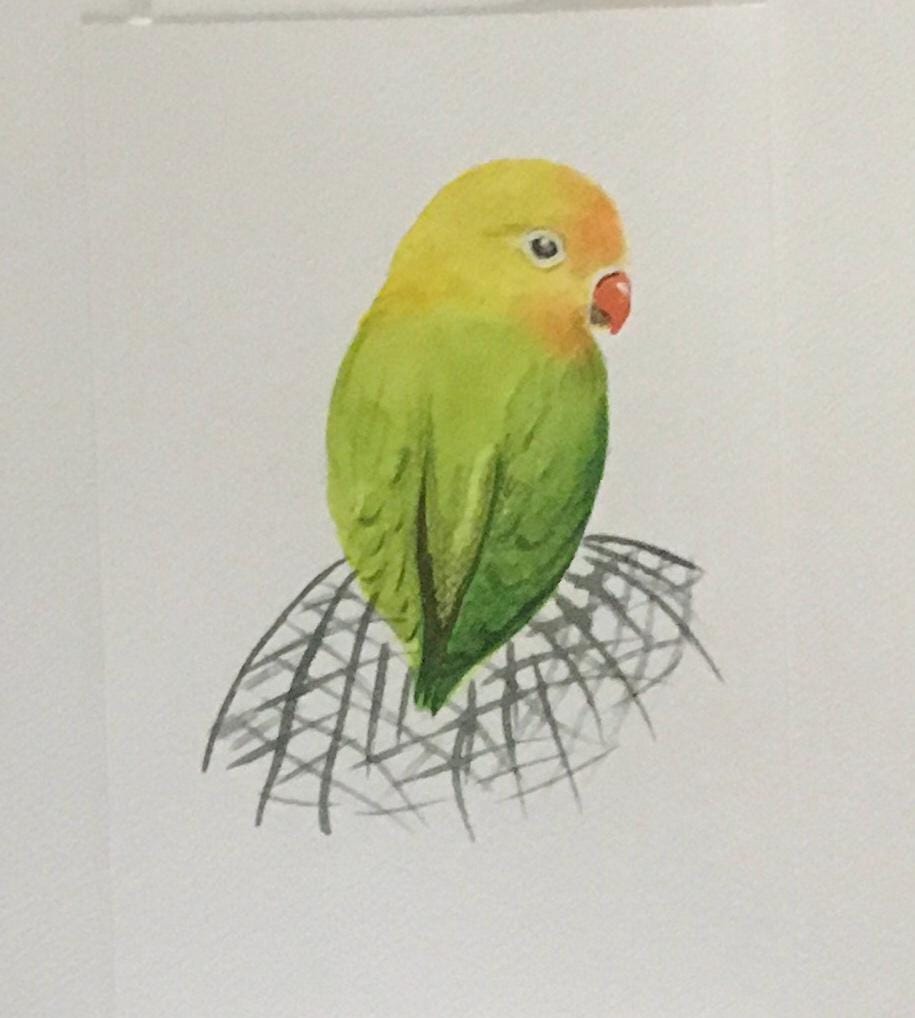 Bird parrot 6x9 inches Original painting watercolor art (not print)
