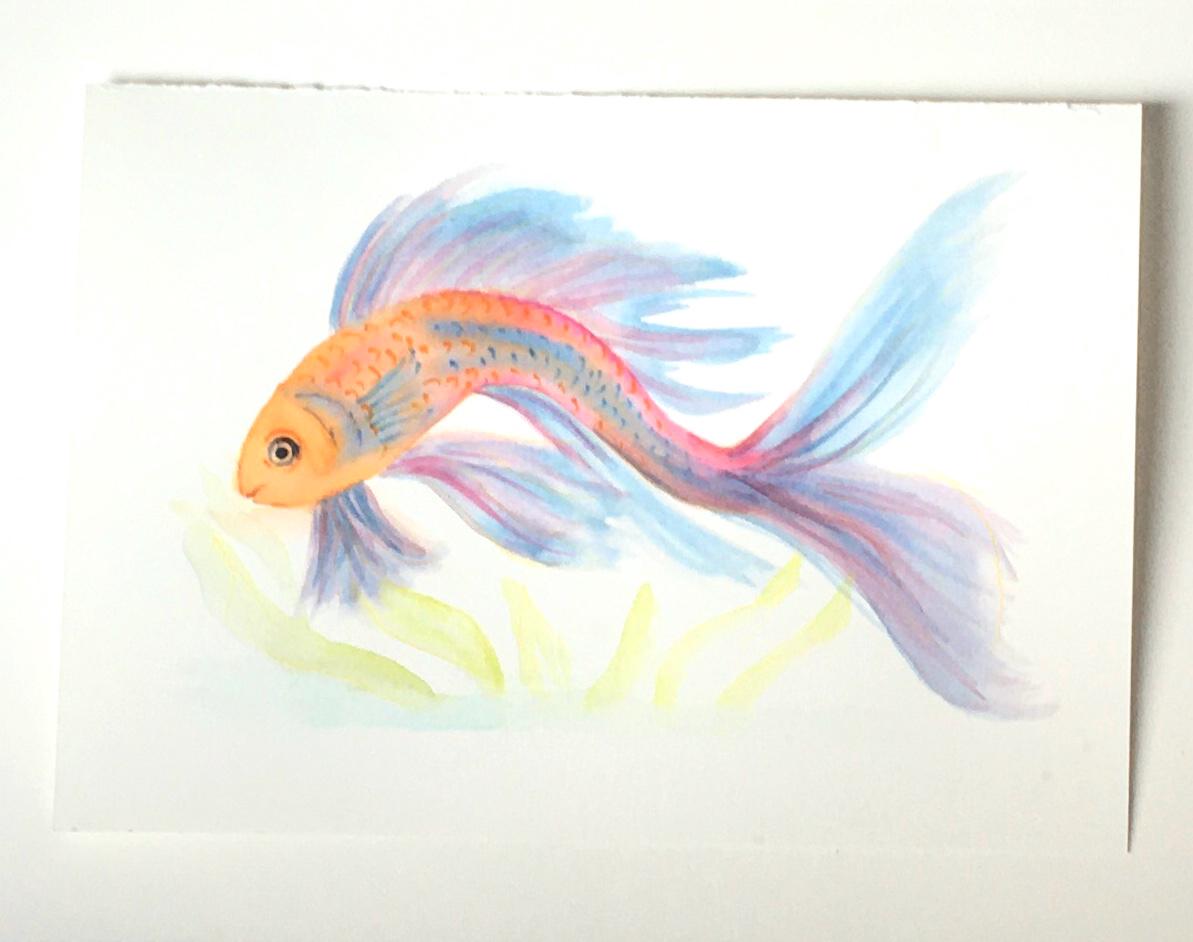 Fish 7x10 inches Original painting watercolor art (not print)
