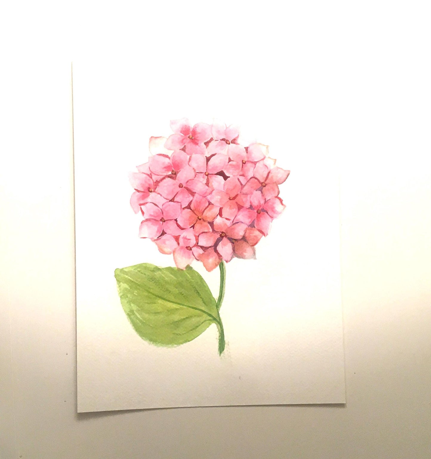 Free shipping Original painting watercolor art pink hydrangea flowers (not print)